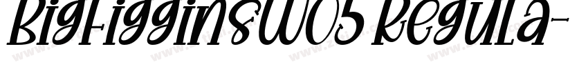 BigFigginsW05 Regula字体转换